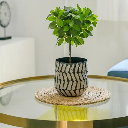 Sunset - Playa Americas Lägenhet *